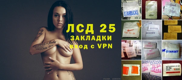 mdpv Елизово