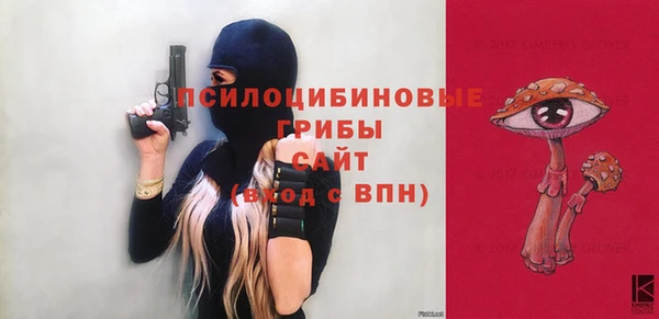 кокс Ельня