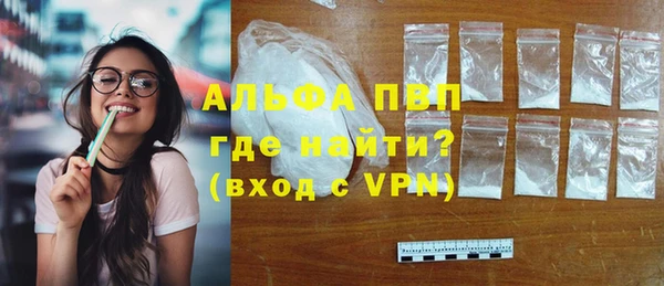 mdpv Елизово